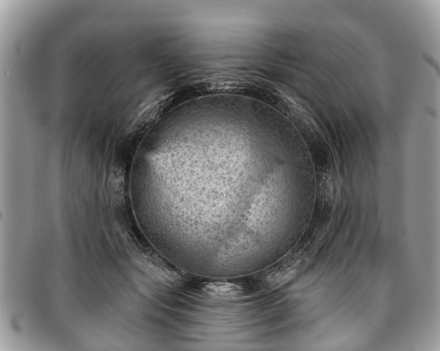 X0000096950557200802151240