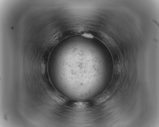 X0000096950558200802151240