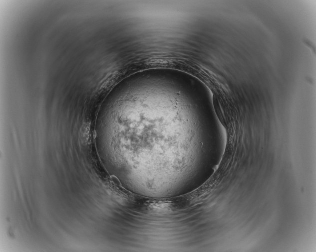 X0000096950560200802151240