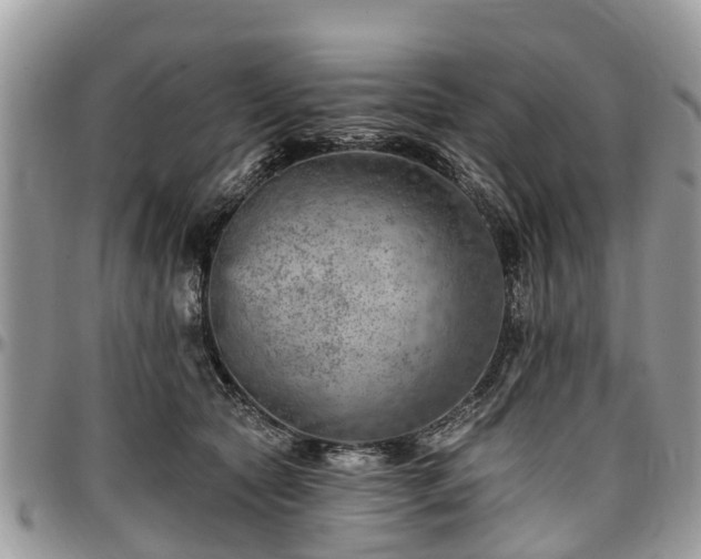 X0000096950561200802151240