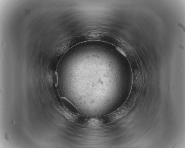 X0000096950562200802151240