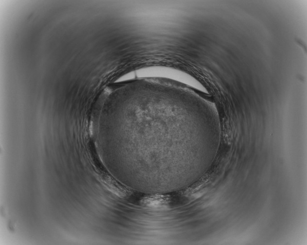 X0000096950563200802151240