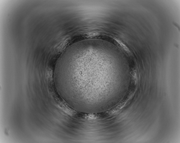 X0000096950565200802151240