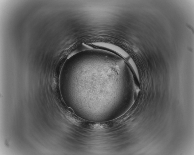 X0000096950566200802151240
