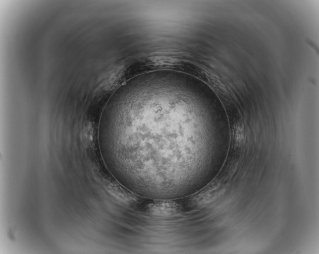 X0000096950567200802151240