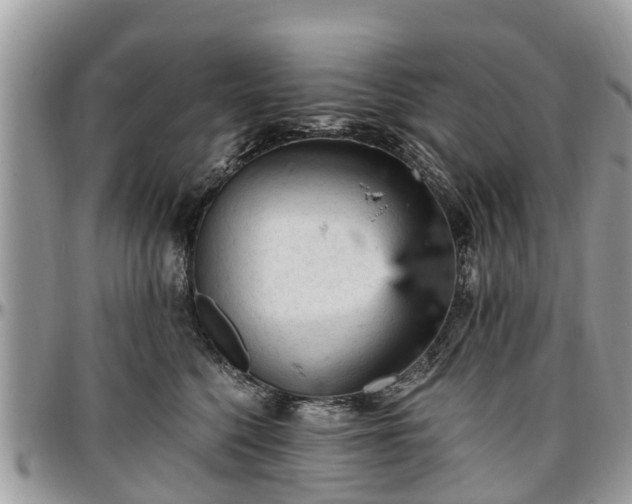 X0000096950568200802151240