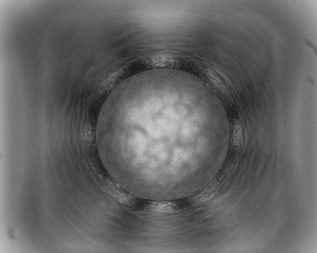 X0000096950569200802151240
