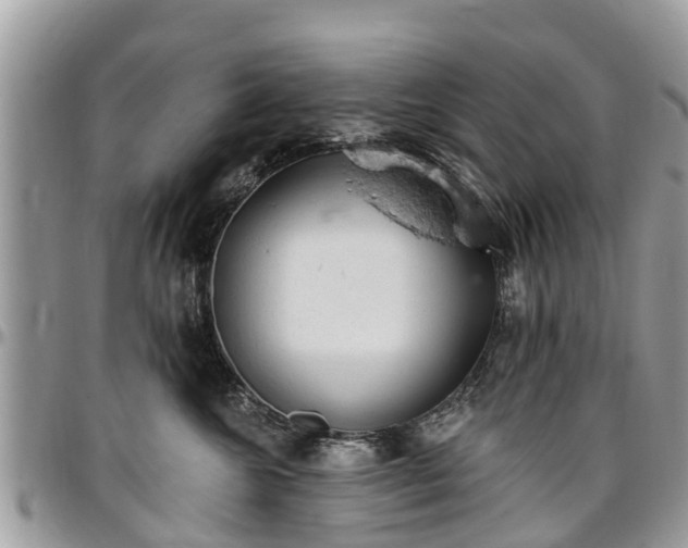 X0000096950572200802151240