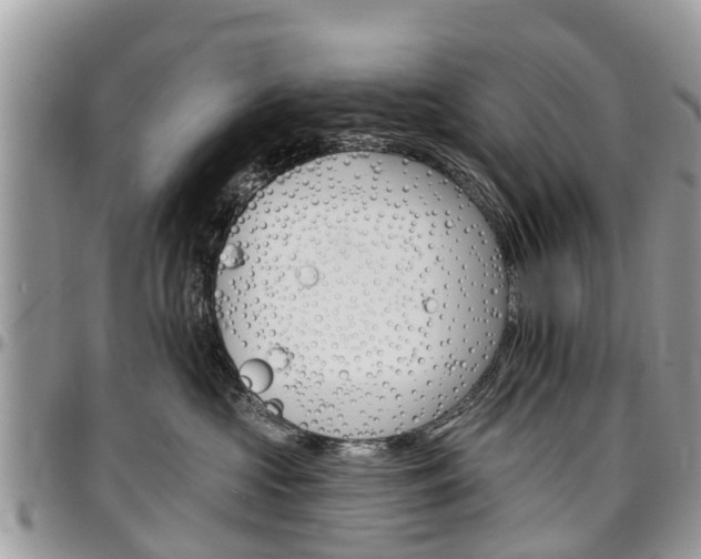 X0000096950573200802151240