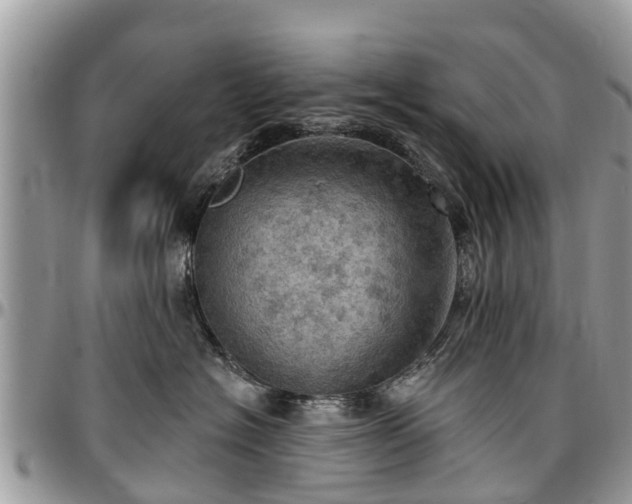 X0000096950574200802151240