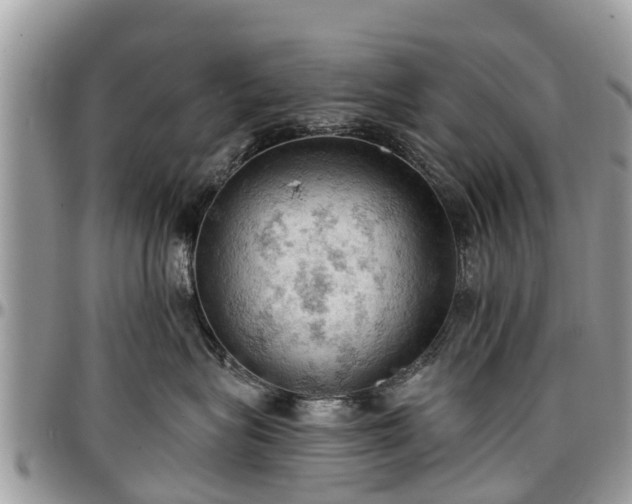 X0000096950575200802151240