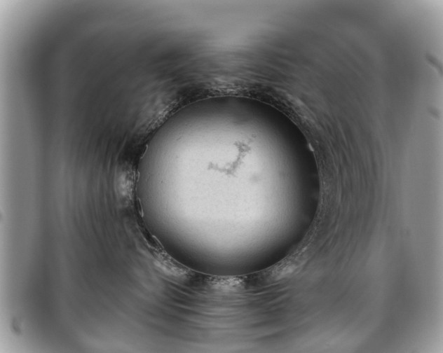 X0000096950576200802151240