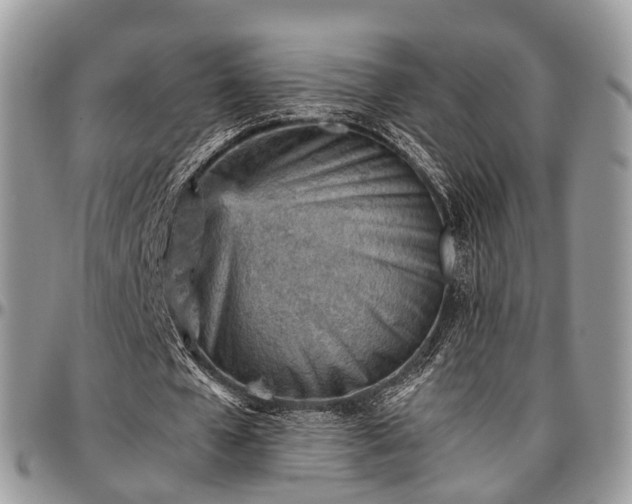 X0000096950577200802151239