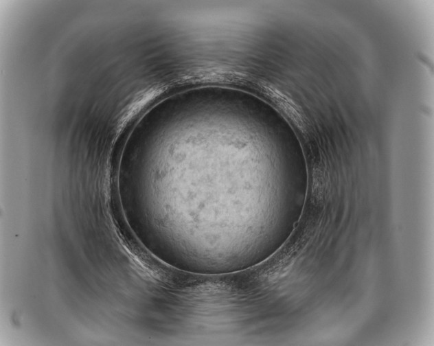 X0000096950578200802151239