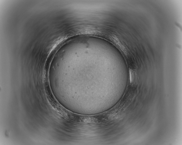 X0000096950579200802151239