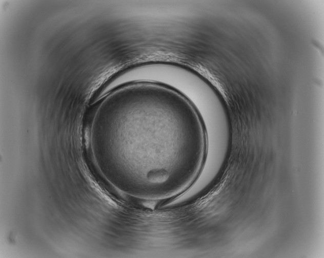 X0000096950581200802151239
