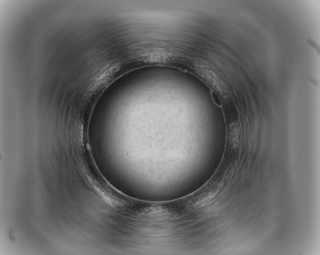 X0000096950589200802151239