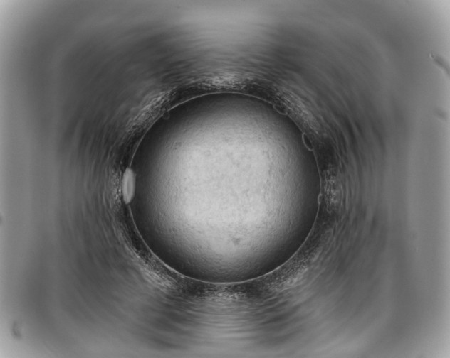 X0000096950593200802151239