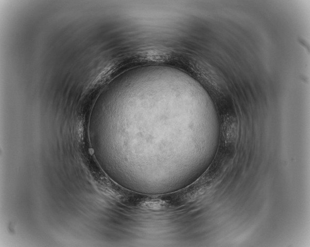 X0000096950595200802151239