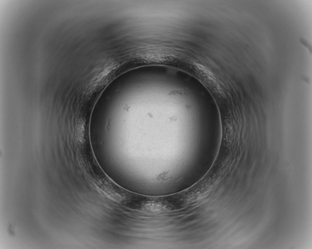 X0000096950596200802151239