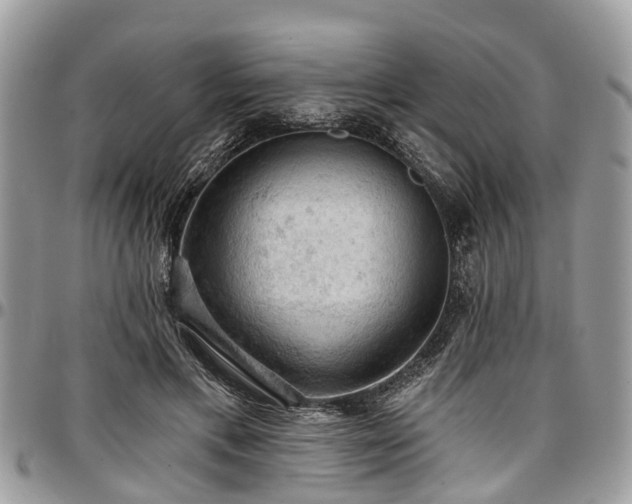 X0000096950597200802151239