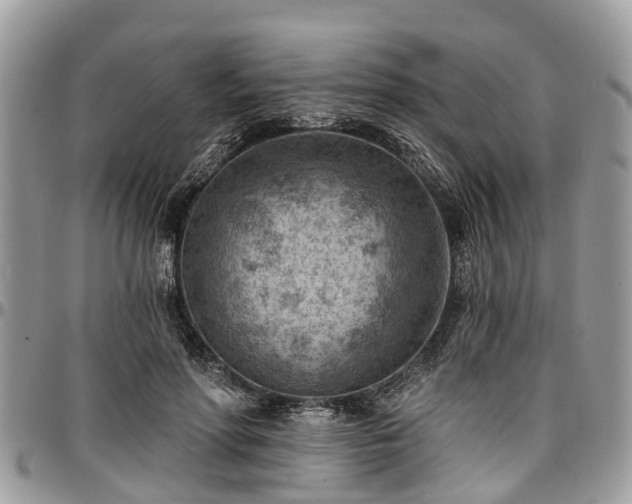 X0000096950598200802151239