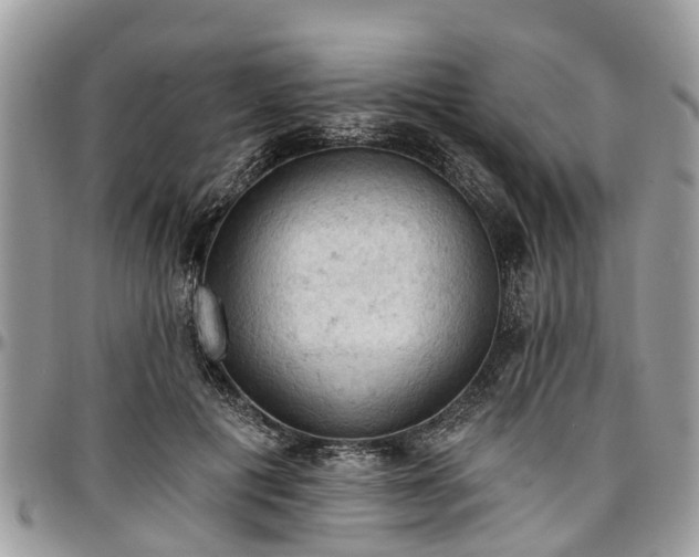 X0000096950601200802151239