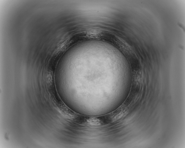 X0000096950603200802151239