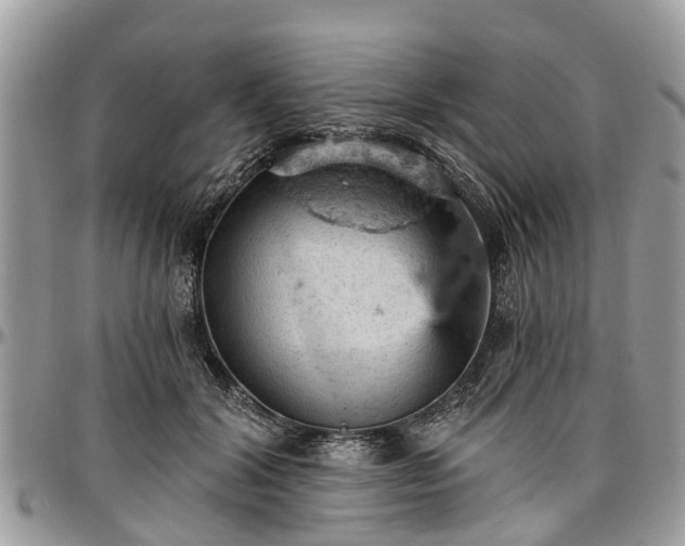X0000096950604200802151239