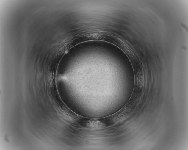 X0000096950605200802151239