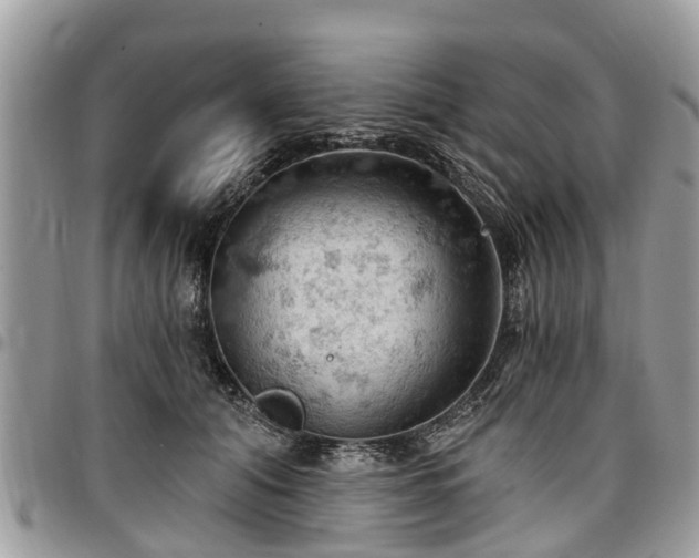 X0000096950608200802151239
