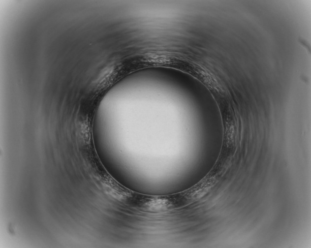 X0000096950609200802151239