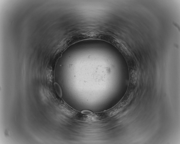 X0000096950612200802151239