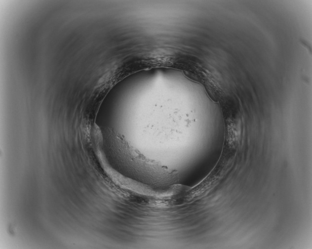 X0000096950613200802151239