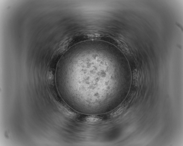 X0000096950614200802151239