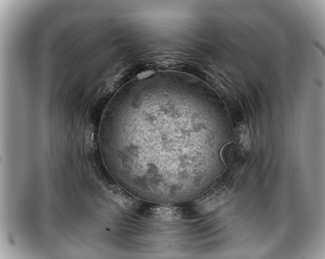 X0000096950615200802151239