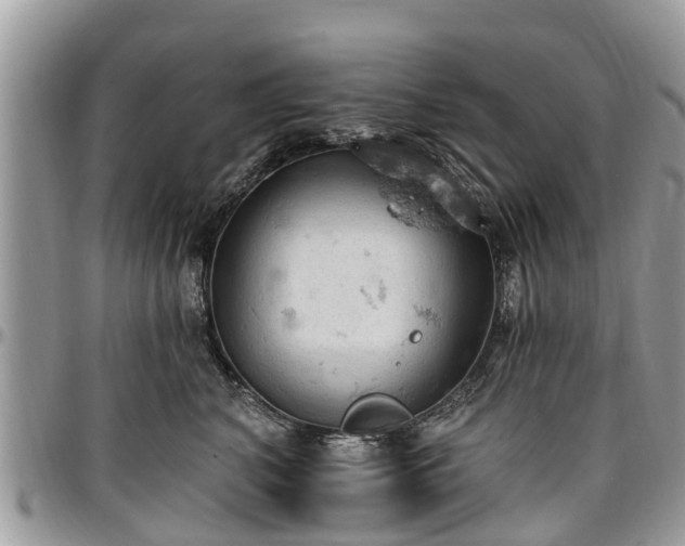 X0000096950616200802151239