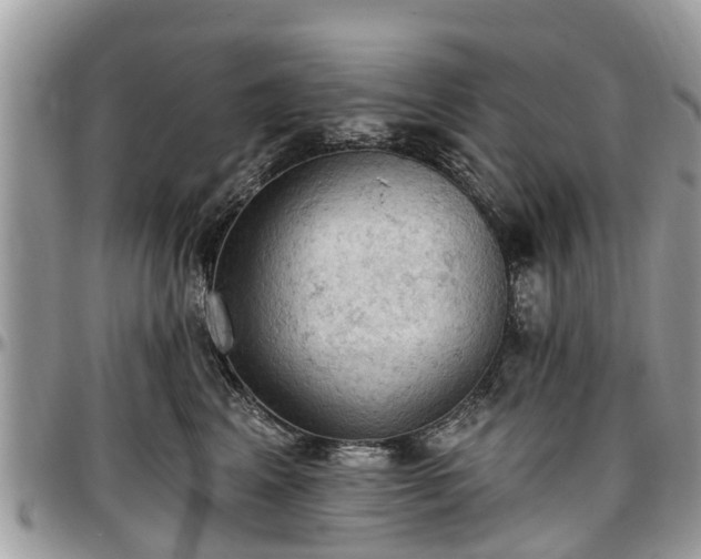 X0000096950617200802151239