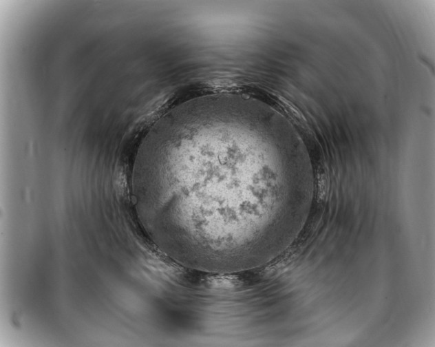 X0000096950618200802151239
