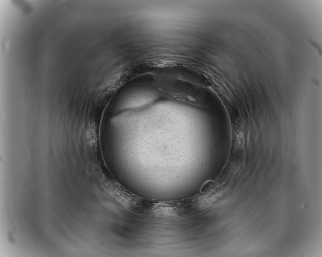 X0000096950620200802151239