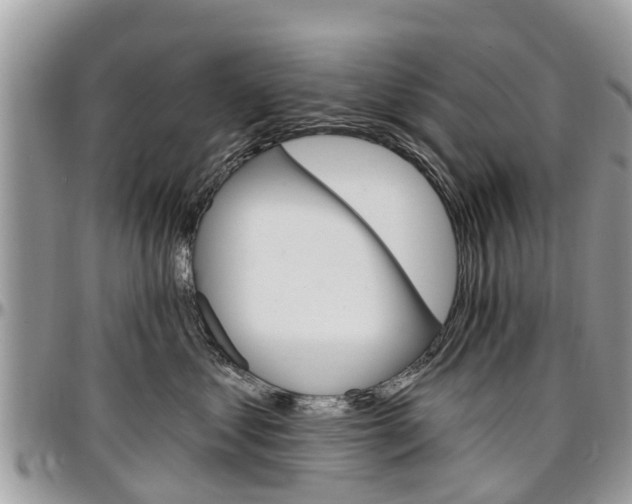X0000096950621200802151239