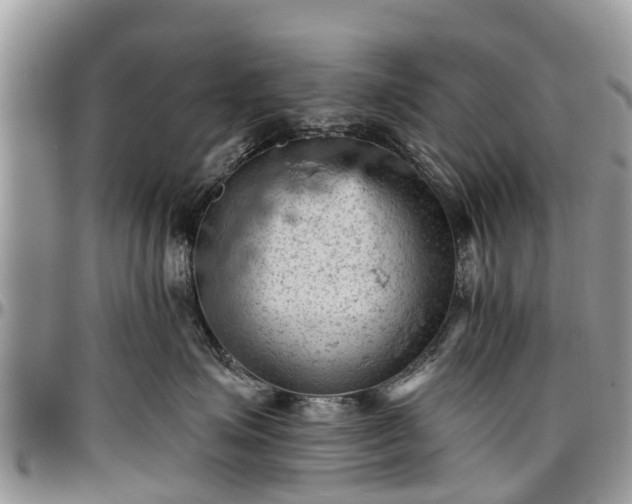 X0000096950623200802151239