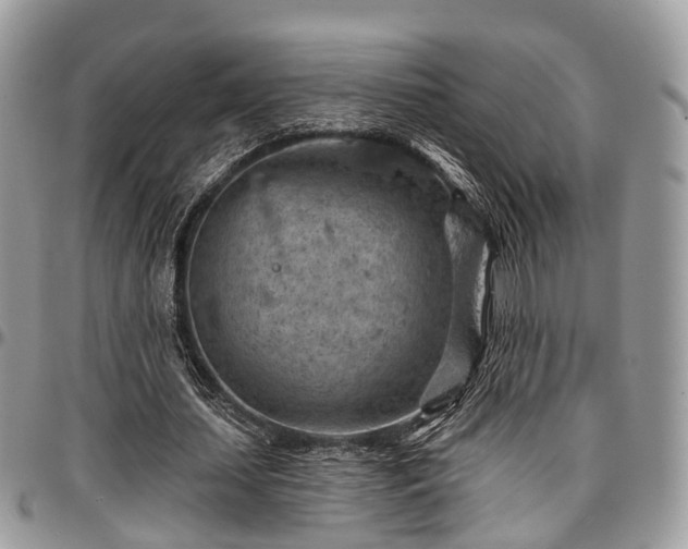 X0000096950627200802151238
