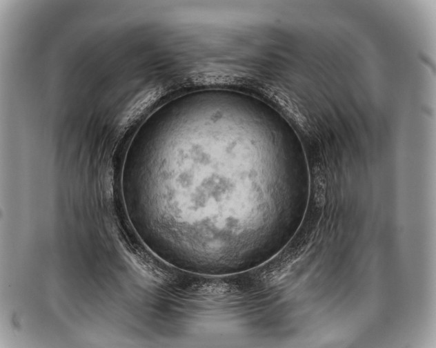 X0000096950631200802151238