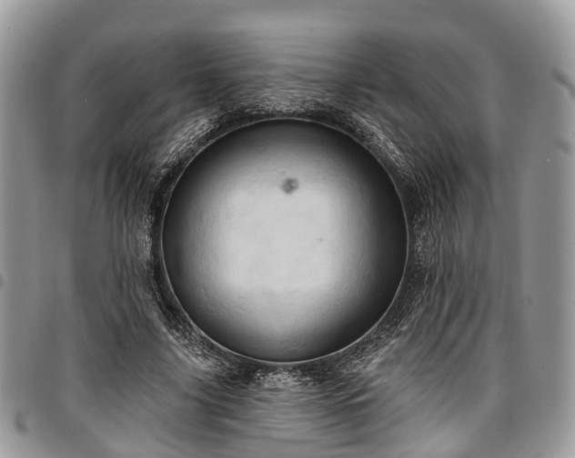 X0000096950635200802151238