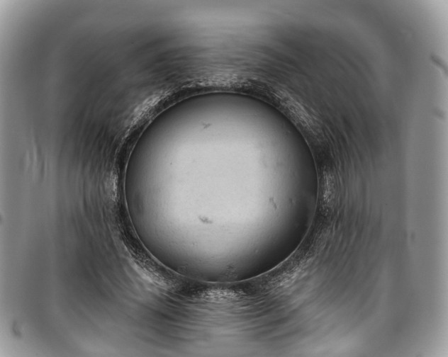 X0000096950636200802151238
