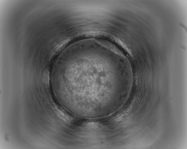 X0000096950637200802151238