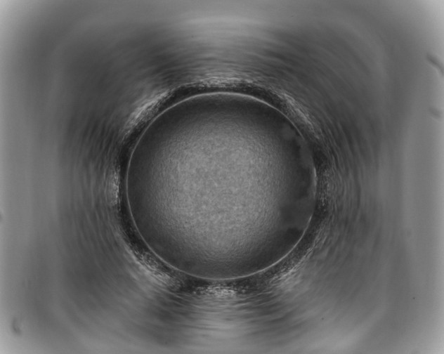 X0000096950640200802151238