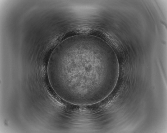 X0000096950641200802151238
