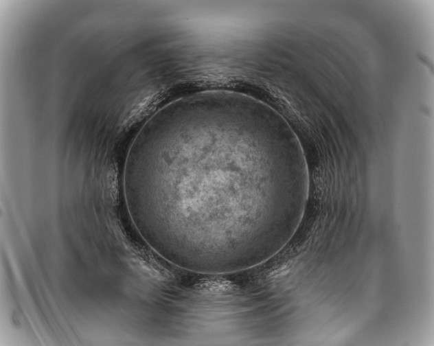 X0000096950642200802151238